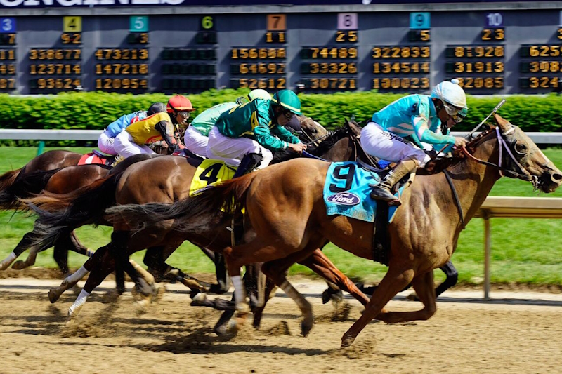 0501_ky_churchill_downs_horse_race_800x533