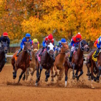 Keeneland_239878100_800x533