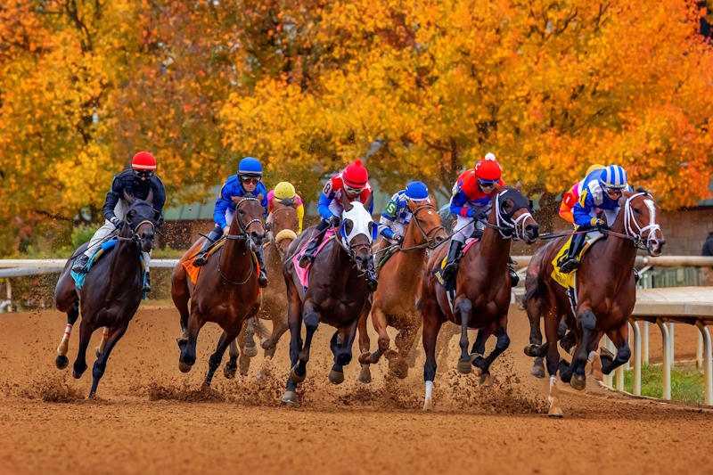 Keeneland_239878100_800x533