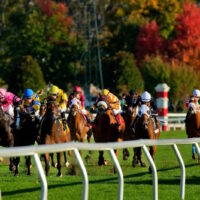 Keeneland_242577460_800x533n