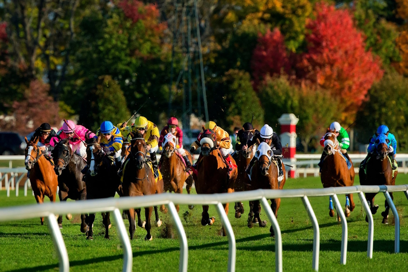 Keeneland_242577460_800x533n