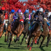 Keeneland_312221652_800x533