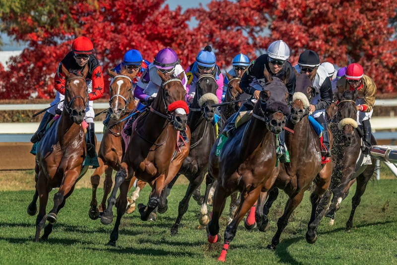 Keeneland_312221652_800x533